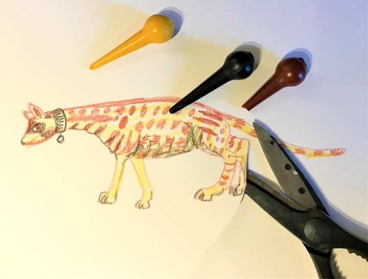 Das Foto zeigt eine gemalte Ginsterkatze. Sie ist mit Wachsmalstiften gemalt. An ihren Umrissen wird sie mit einer Schere ausgeschnitten.